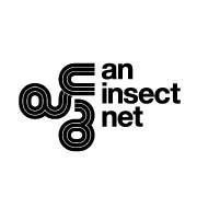 an_insect_net